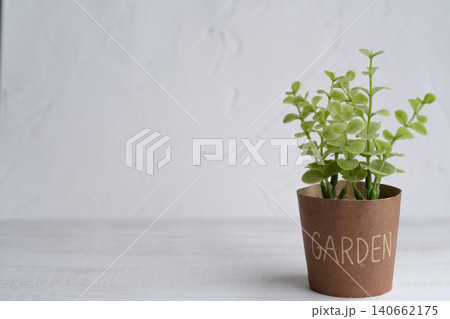 観葉植物のナチュラルな文字入れ背景素材 観葉植物のナチュラルな文字入れ背景素材 140662175