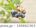 収穫期のブルーベリー 140662363