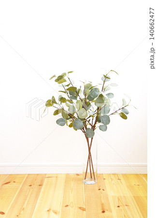 白壁と木の床の前に置かれたユーカリの花瓶 シンプルで明るいインテリア写真 白壁と木の床の前に置かれたユーカリの花瓶 シンプルで明るいインテリア写真 140662477