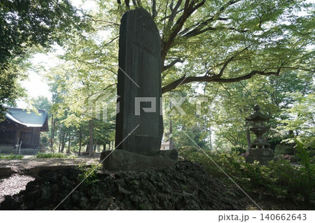 1896年に開園した八王子市最古の総合公園 富士森公園 1896年に開園した八王子市最古の総合公園 富士森公園 140662643