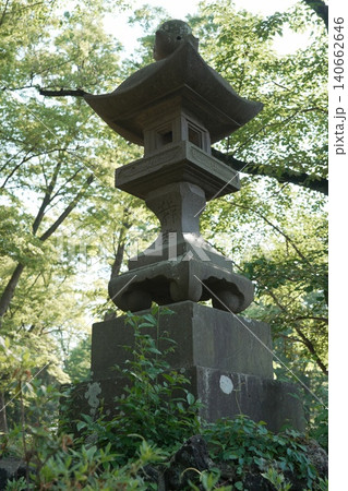1896年に開園した八王子市最古の総合公園 富士森公園 1896年に開園した八王子市最古の総合公園 富士森公園 140662646