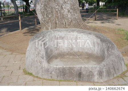 1896年に開園した八王子市最古の総合公園　富士森公園 140662674