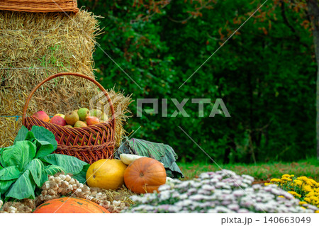 harvest season still life vegetables fruits basket and blanket in grass lawn with forest blurred background scene 140663049