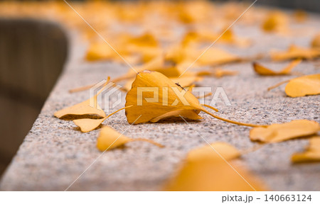 Leaves fall on a stone surface in an outdoor area during autumn season 140663124