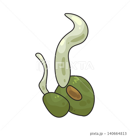 Illustration of Sprouts 140664813