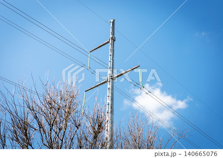 Utility pole and power lines above bare winter trees against blue sky 140665076