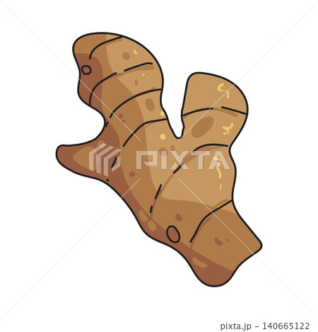 Illustration of Ginger Illustration of Ginger 140665122