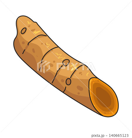 Illustration of Turmeric Illustration of Turmeric 140665123
