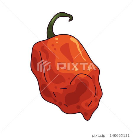 Illustration of Habanero Illustration of Habanero 140665131