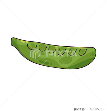 Illustration of Snow pea Illustration of Snow pea 140665135
