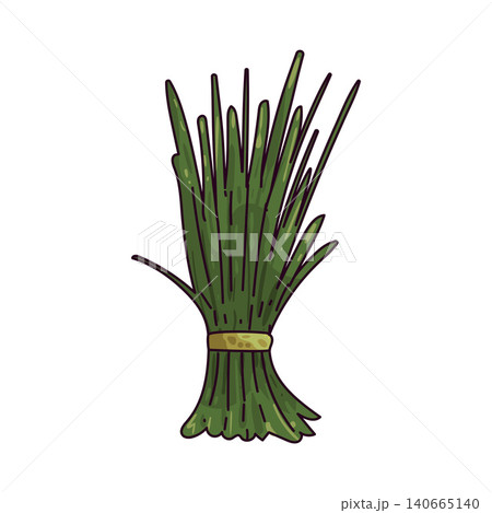 Bundle of Chives Illustration  140665140