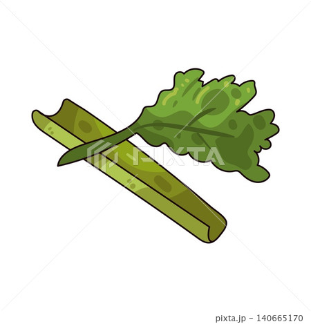 Illustration of Celery 140665170