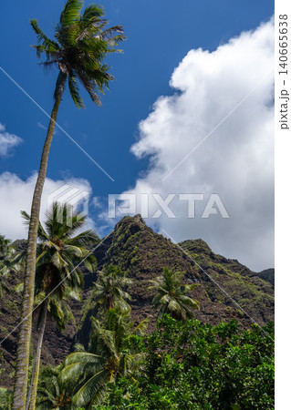 Trek to Vaipo waterfall, Hakaui Valley, Nuku Hiva, French Polynesia 140665638