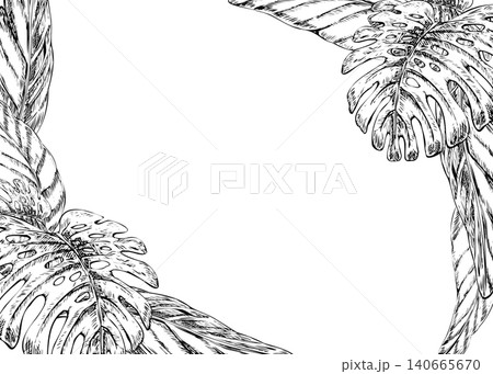 Tropical leaves frame hand drawn line art illustration. Black ink border with monstera and banana foliage sketch for exotic wedding invitation, summer party banner, and copy space card template 140665670