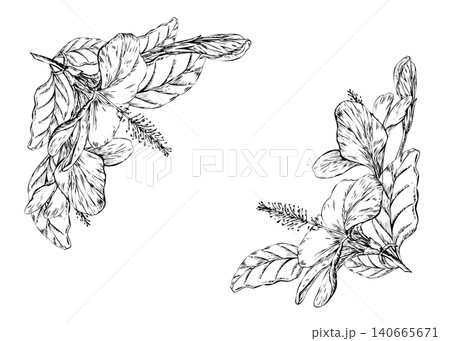 Hibiscus flowers frame hand drawn line art illustration. Black ink corner borders with tropical blossoms, buds, and leaves sketch for exotic wedding invitation and copy space card template 140665671