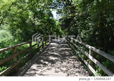 石神井公園、東京都練馬区、橋 140666187