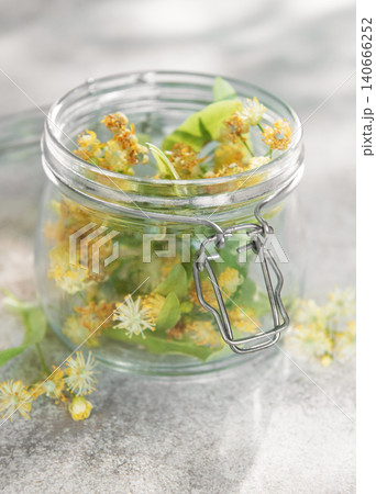 Linden blossoms filling glass jar for herbal medicine Linden blossoms filling glass jar for herbal medicine 140666252