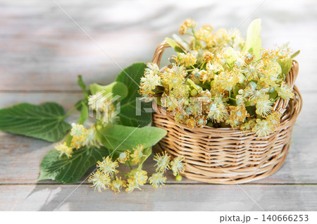 Linden flowers in basket on wooden table for herbal medicine Linden flowers in basket on wooden table for herbal medicine 140666253
