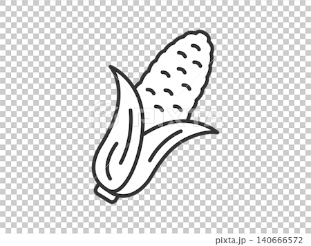 Corn (line drawing) illustration 140666572