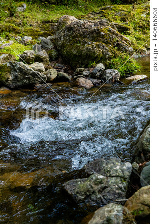 新緑の渓流と岩場の清流 Landscape of Mountain Stream 新緑の渓流と岩場の清流 Landscape of Mountain Stream 140666608