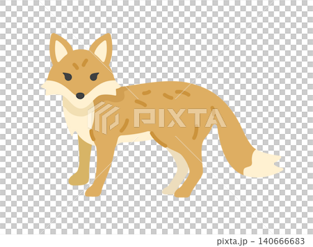 正面を向いた、キツネのイラスト 正面を向いた、キツネのイラスト 140666683