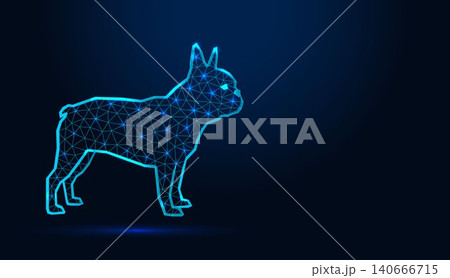 Neon low poly wireframe french bulldog dog standing profile on dark blue background. 140666715