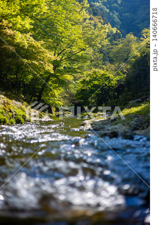 新緑の渓流と水面の輝き Forest Stream in Fresh Green 新緑の渓流と水面の輝き Forest Stream in Fresh Green 140666718