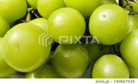 Fresh green Shine Muscat grapes bunch in a white bowl Fresh green Shine Muscat grapes bunch in a white bowl 140667039