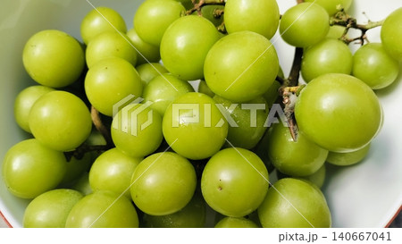 Fresh green Shine Muscat grapes bunch in a white bowl 140667041