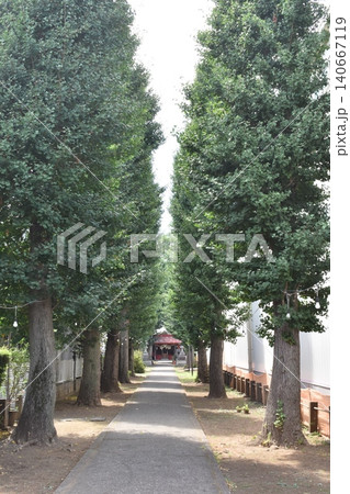 下鈴木稲荷神社、東京都小平市、参道 140667119