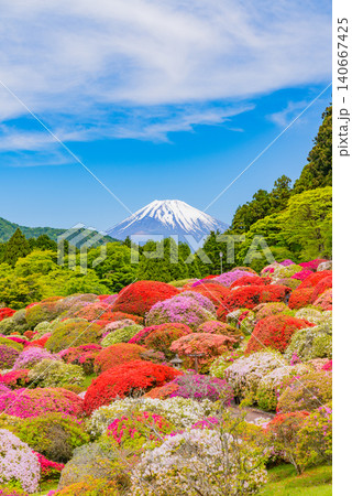 (神奈川県)箱根小田急・山のホテルの美しいつつじ庭園から眺める富士山 (神奈川県)箱根小田急・山のホテルの美しいつつじ庭園から眺める富士山 140667425
