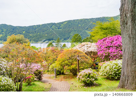 【神奈川県】箱根・小田急山のホテル つつじ庭園 【神奈川県】箱根・小田急山のホテル つつじ庭園 140668809