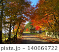 紅葉の小道カエデのトンネル 140669722