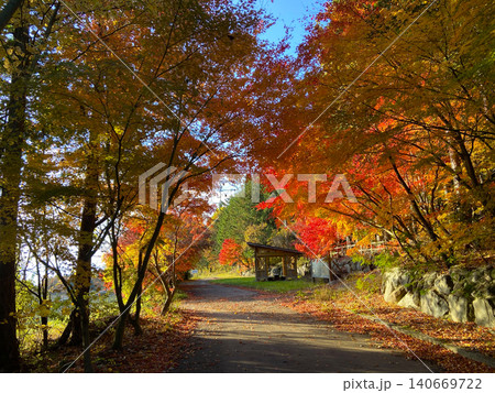 紅葉の小道カエデのトンネル 140669722