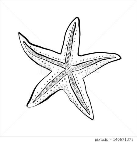 Contour drawing line art starfish in the sea, ocean. Minimalistic Contour drawing line art starfish in the sea, ocean. Minimalistic 140671375
