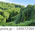 カズラから占領された山 140672560