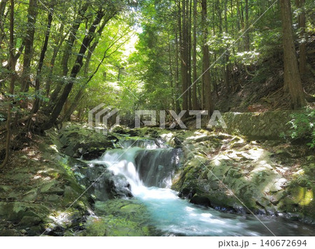 静岡県 森の中の小さな滝 5月 静岡県 森の中の小さな滝 5月 140672694