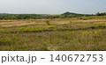 Summer field with grass and forest on the horizon in the summer heat 140672753