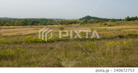 Summer field with grass and forest on the horizon in the summer heat Summer field with grass and forest on the horizon in the summer heat 140672753