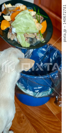 Light-colored dog observing a person discarding food scraps into a blue trash bin with a wooden floor visible in the background Light-colored dog observing a person discarding food scraps into a blue trash bin with a wooden floor visible in the background 140672781