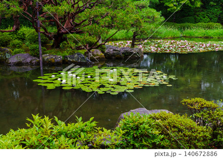 平安神宮神苑、西神苑の白虎池 平安神宮神苑、西神苑の白虎池 140672886