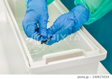 A medical professional wearing blue latex gloves cleans metal surgical instruments in a plastic basin to ensure strict sterile environment safety standards for hospital procedures A medical professional wearing blue latex gloves cleans metal surgical instruments in a plastic basin to ensure strict sterile environment safety standards for hospital procedures 140673039