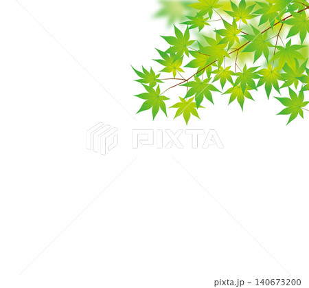 新緑青紅葉01 140673200