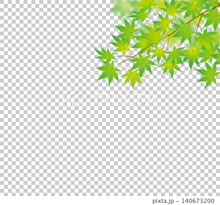 新緑青紅葉01 140673200