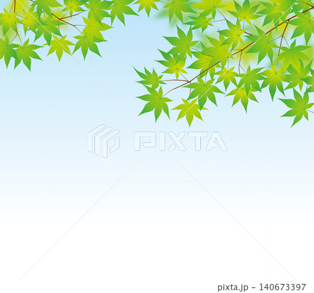 新緑青紅葉03 新緑青紅葉03 140673397