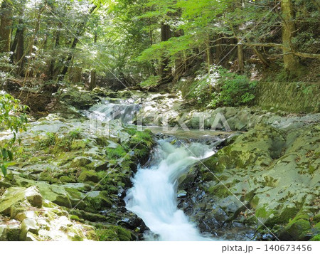 静岡県 森の中を流れる清流 5月 静岡県 森の中を流れる清流 5月 140673456