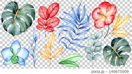 Set of colorful tropical flowers and leaves. X-ray of plants, watercolor illustration 140675009