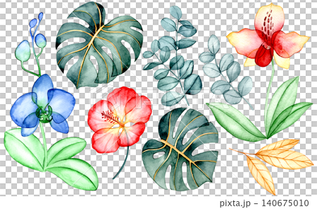 Set of colorful tropical flowers and leaves. X-ray of plants, watercolor illustration Set of colorful tropical flowers and leaves. X-ray of plants, watercolor illustration 140675010
