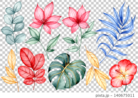 Set of colorful tropical flowers and leaves. X-ray of plants, watercolor illustration Set of colorful tropical flowers and leaves. X-ray of plants, watercolor illustration 140675011