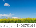 field of golden rapeseed under a bright blue sky with white clouds, a copy space concept on agriculture and crop cultivation 140675194